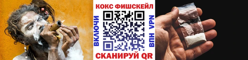 Кокаин Fish Scale  даркнет сайт  Сясьстрой 