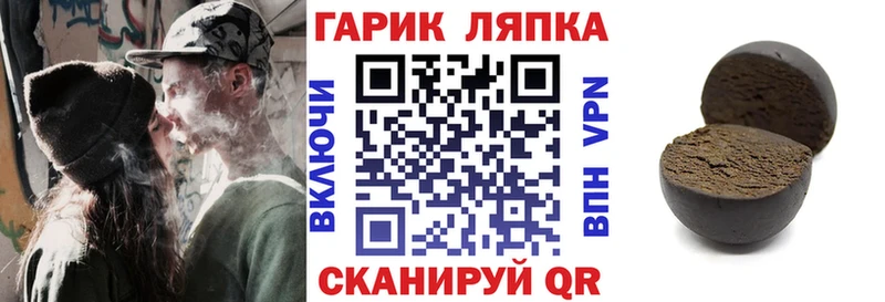 ГАШ Premium  Сясьстрой 