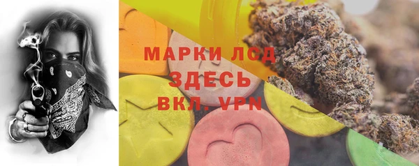 сатива Покров