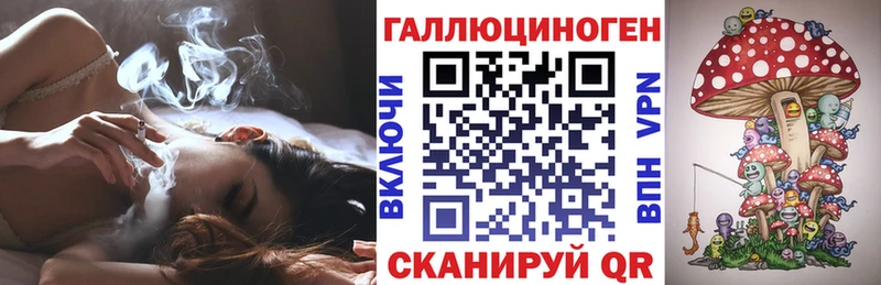 цена наркотик Сясьстрой shop клад Галлюциногенные грибы MAGIC MUSHROOMS